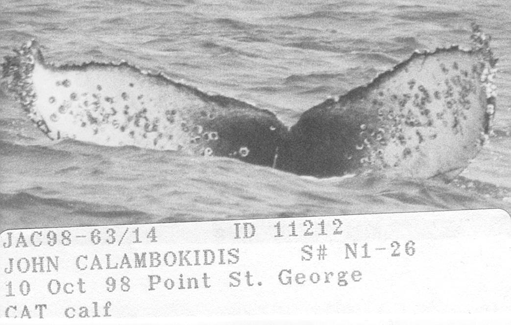 Fluke of CRC-11212