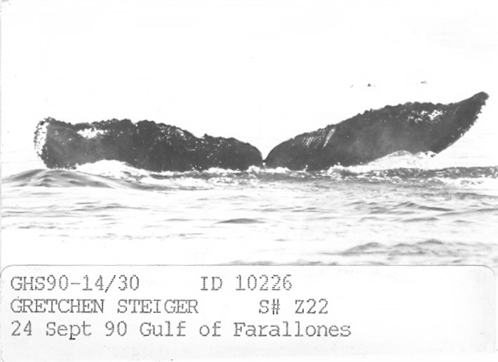Fluke of CRC-10226