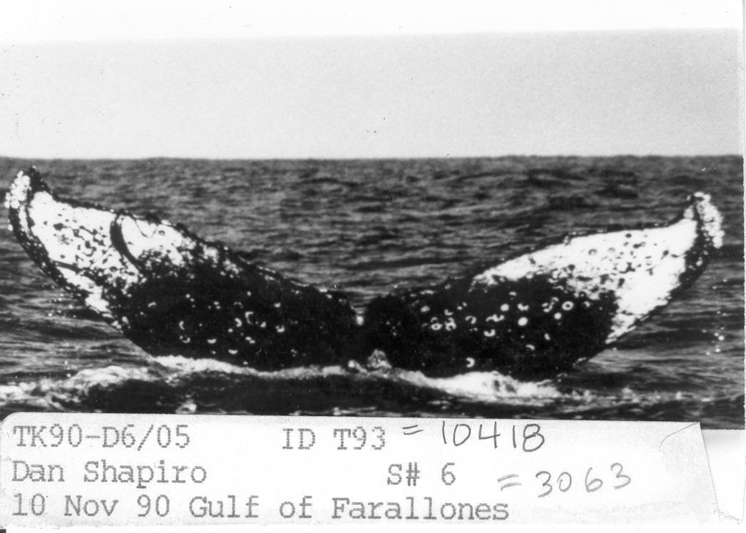 Fluke of CRC-10418