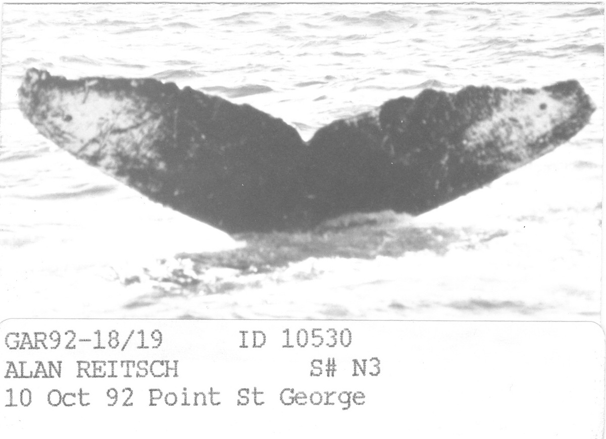 Fluke of CRC-10530