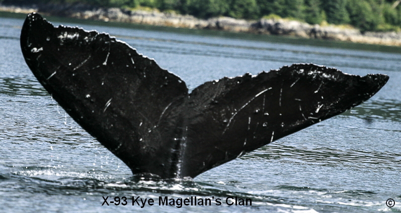Fluke of Kye aka Ryan (PWS)