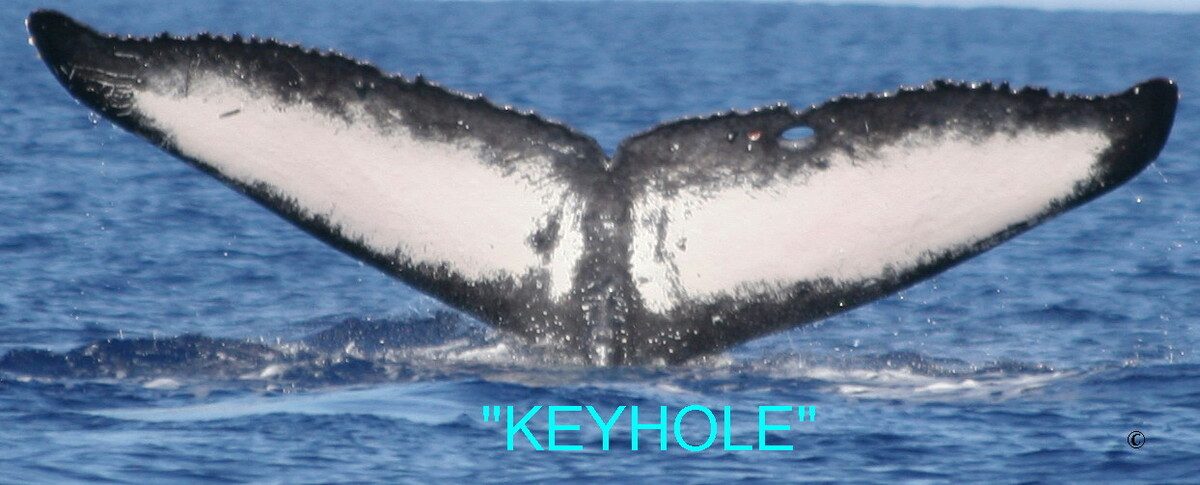 Fluke of Keyhole (EOTW)