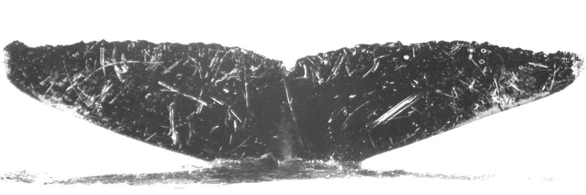 Fluke of CRC-16414