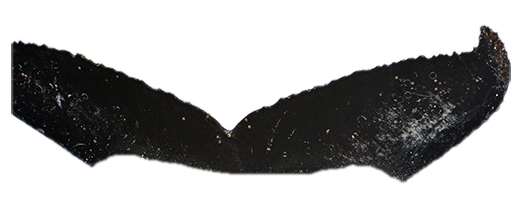 Fluke of ESPHW-ACMA#0032
