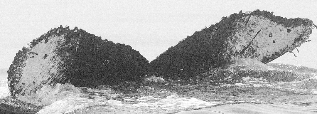 Fluke of CRC-10024
