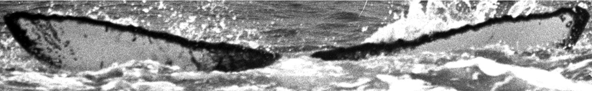 Fluke of TDI-15285