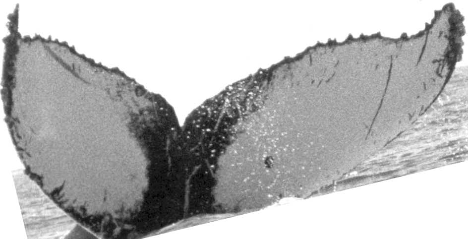 Fluke of CRC-10823