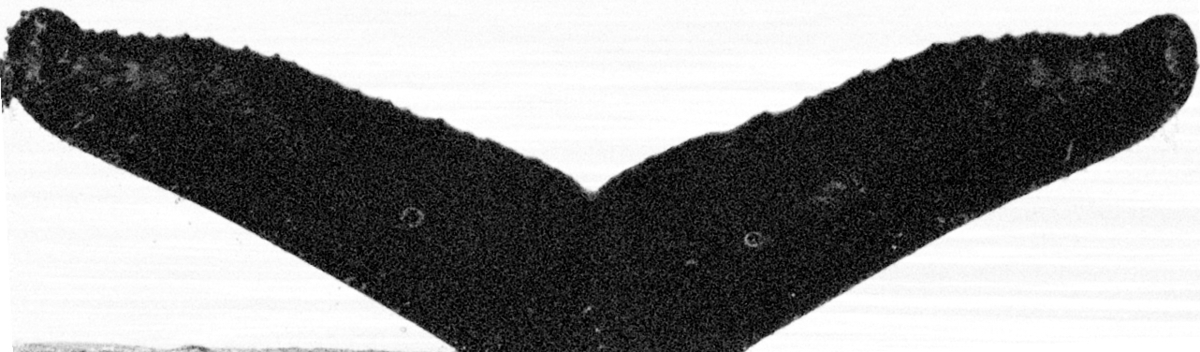 Fluke of SEAK-2631