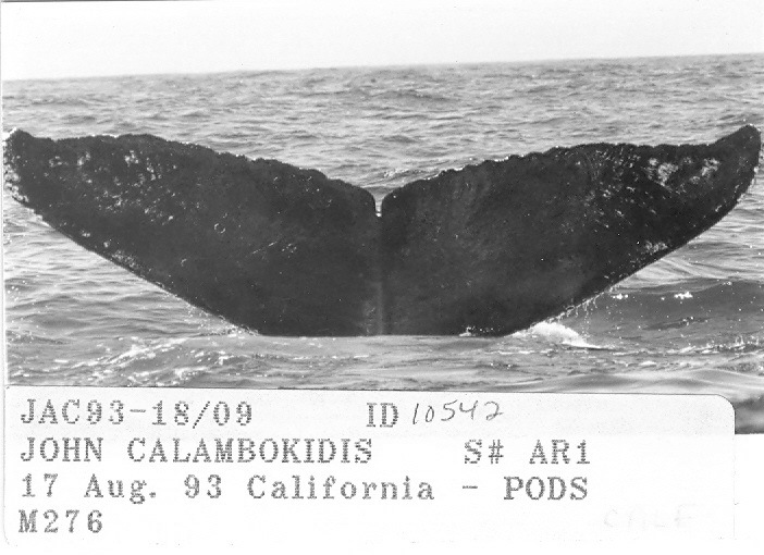 Fluke of CRC-10542
