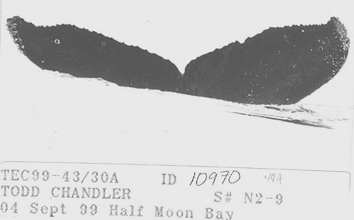 Fluke of CRC-10970