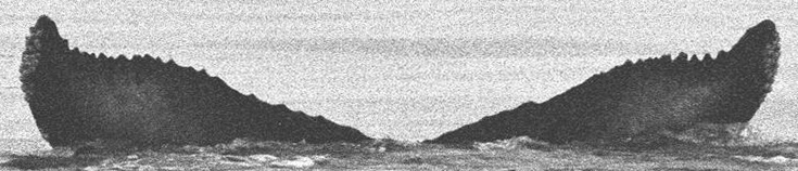 Fluke of CRC-13622