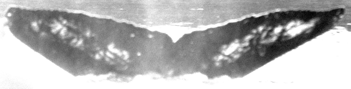 Fluke of Koiuiu