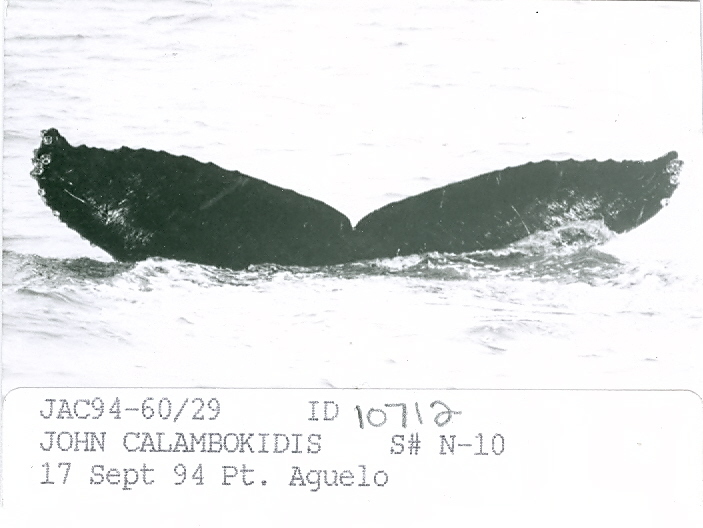 Fluke of CRC-10712