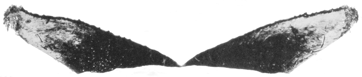Fluke of CRC-11312
