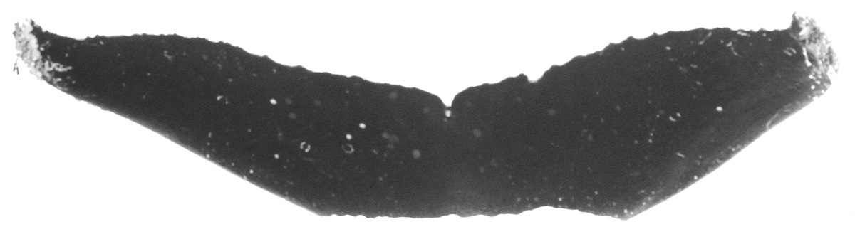 Fluke of CRC-10800