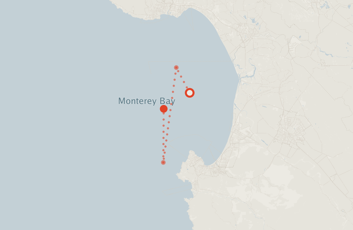 Activity map — real sighting points on an OpenStreetMap basemap