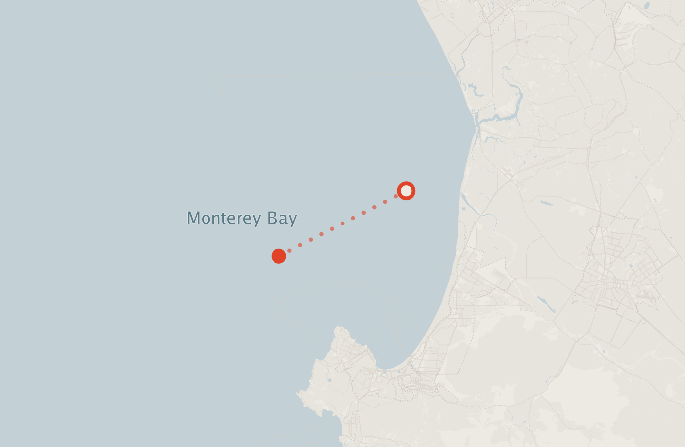 Activity map — real sighting points on an OpenStreetMap basemap