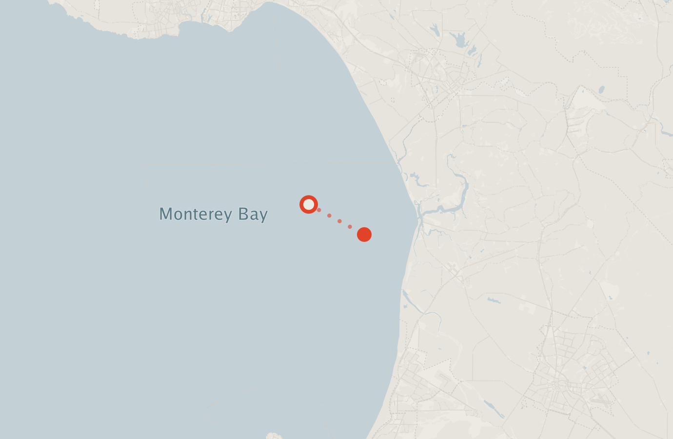 Activity map — real sighting points on an OpenStreetMap basemap