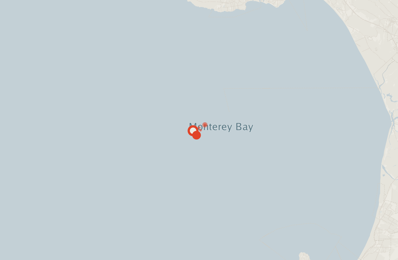 Activity map — real sighting points on an OpenStreetMap basemap