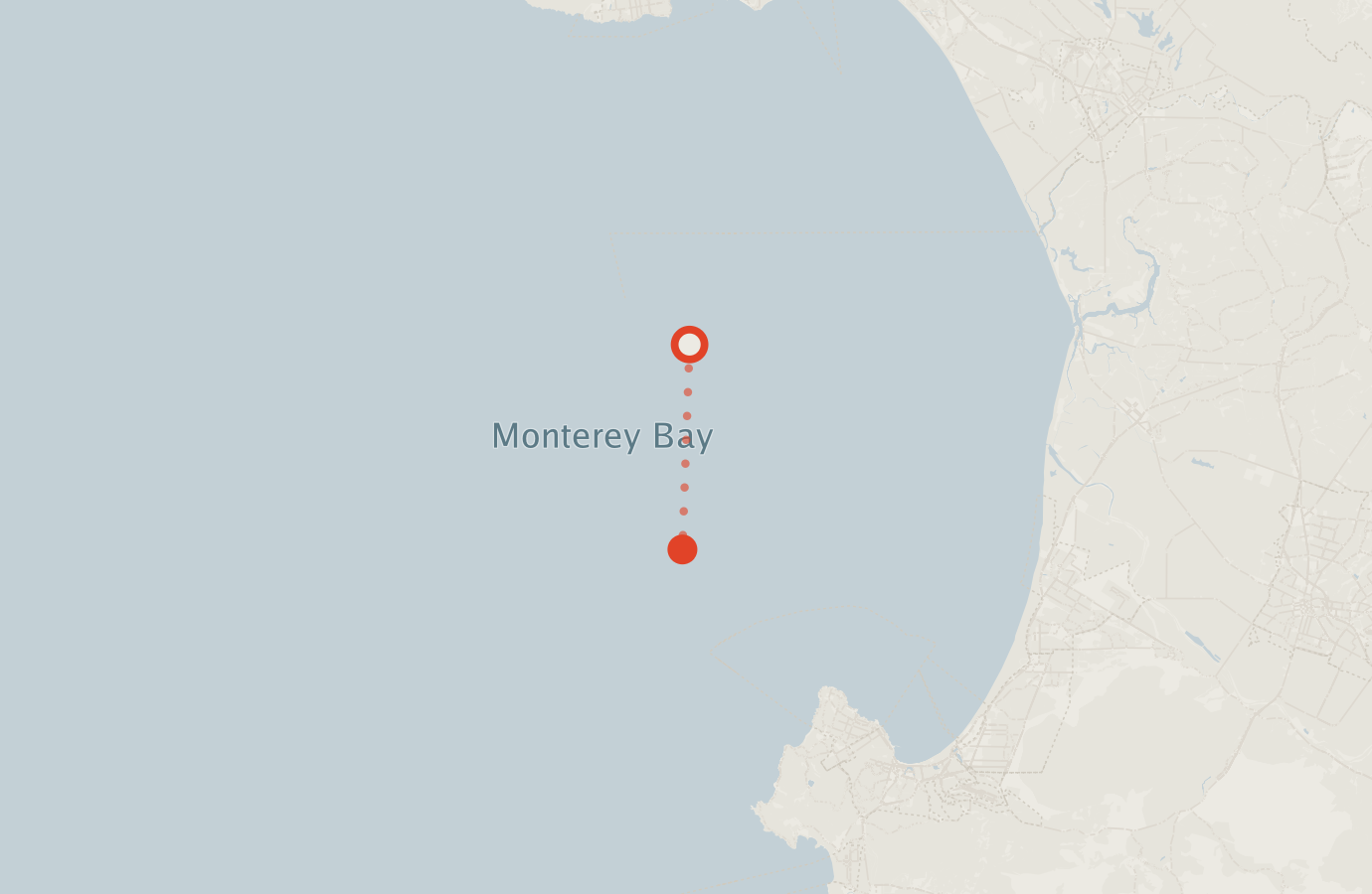 Activity map — real sighting points on an OpenStreetMap basemap
