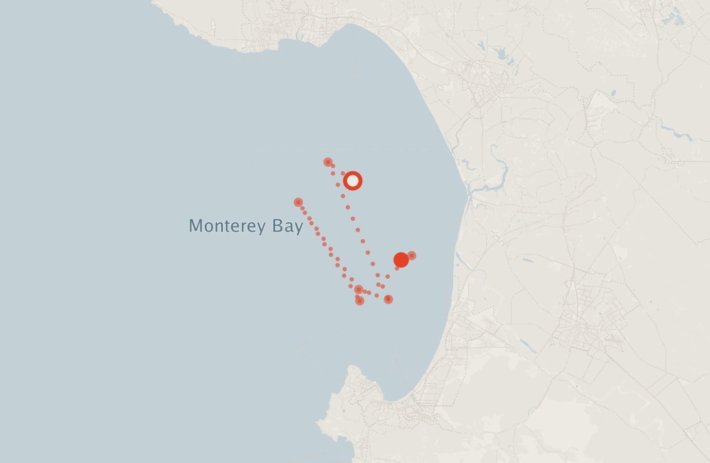 Activity map — real sighting points on an OpenStreetMap basemap