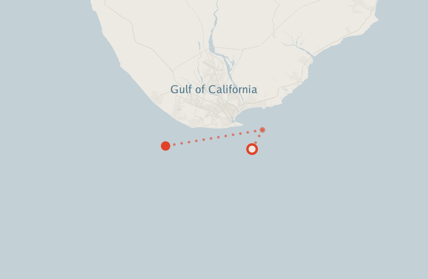 Activity map — real sighting points on an OpenStreetMap basemap