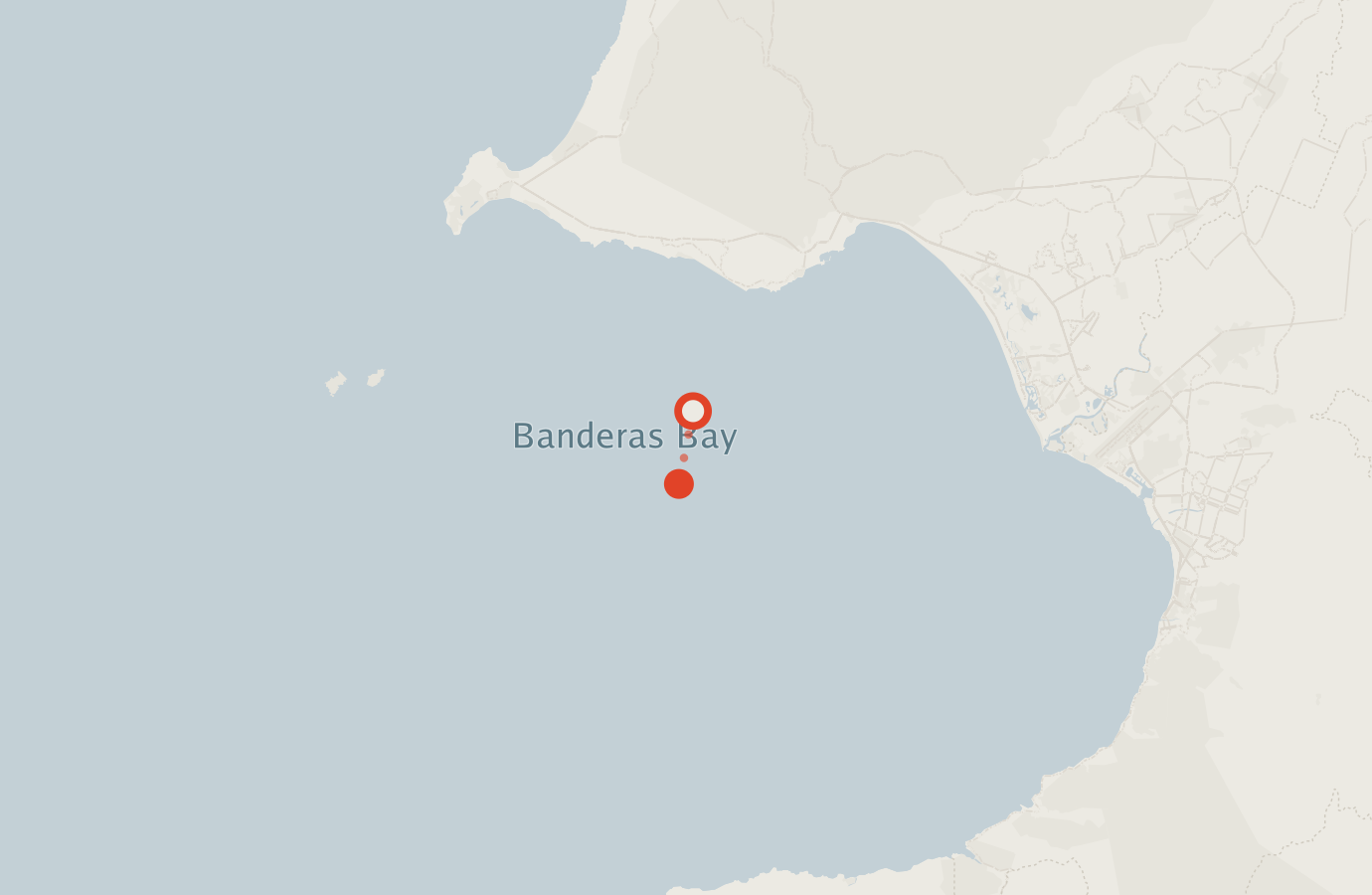 Activity map — real sighting points on an OpenStreetMap basemap
