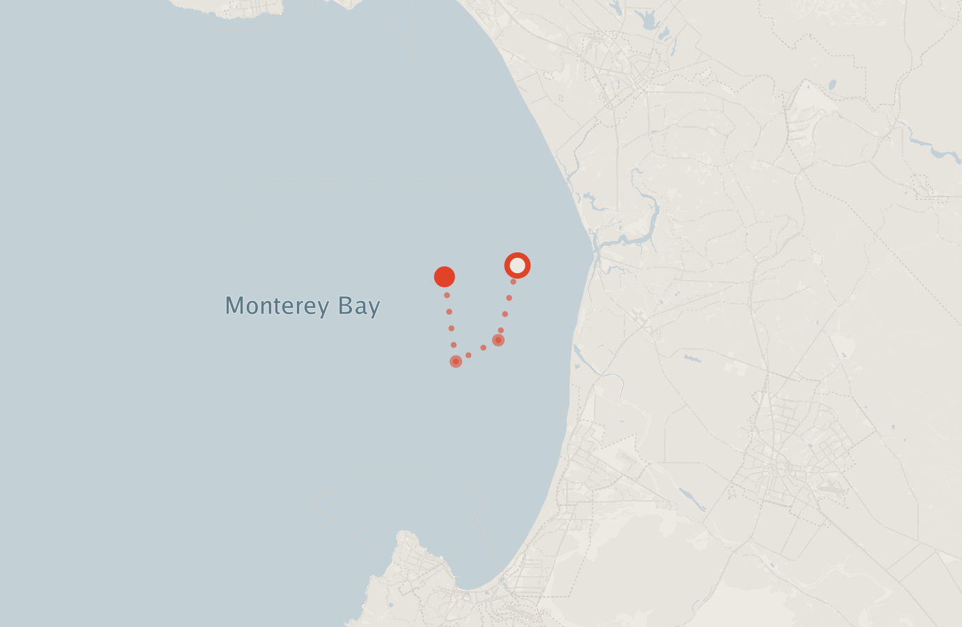 Activity map — real sighting points on an OpenStreetMap basemap