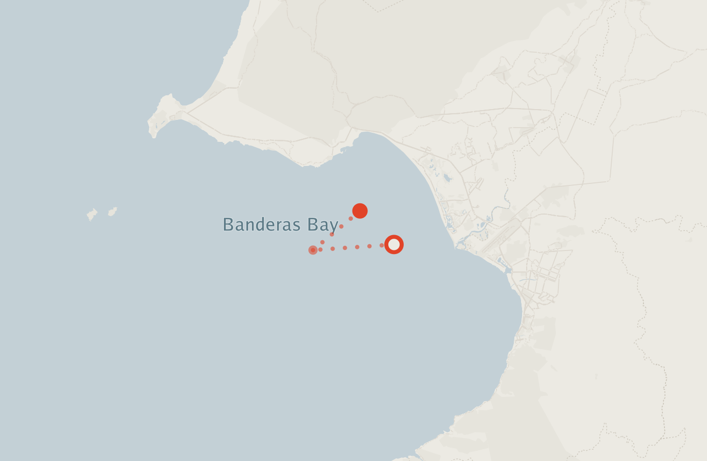 Activity map — real sighting points on an OpenStreetMap basemap
