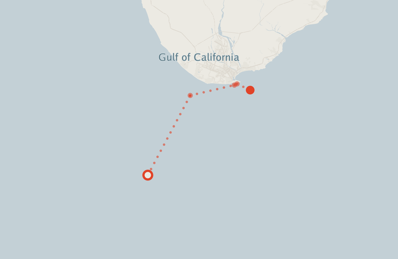 Activity map — real sighting points on an OpenStreetMap basemap