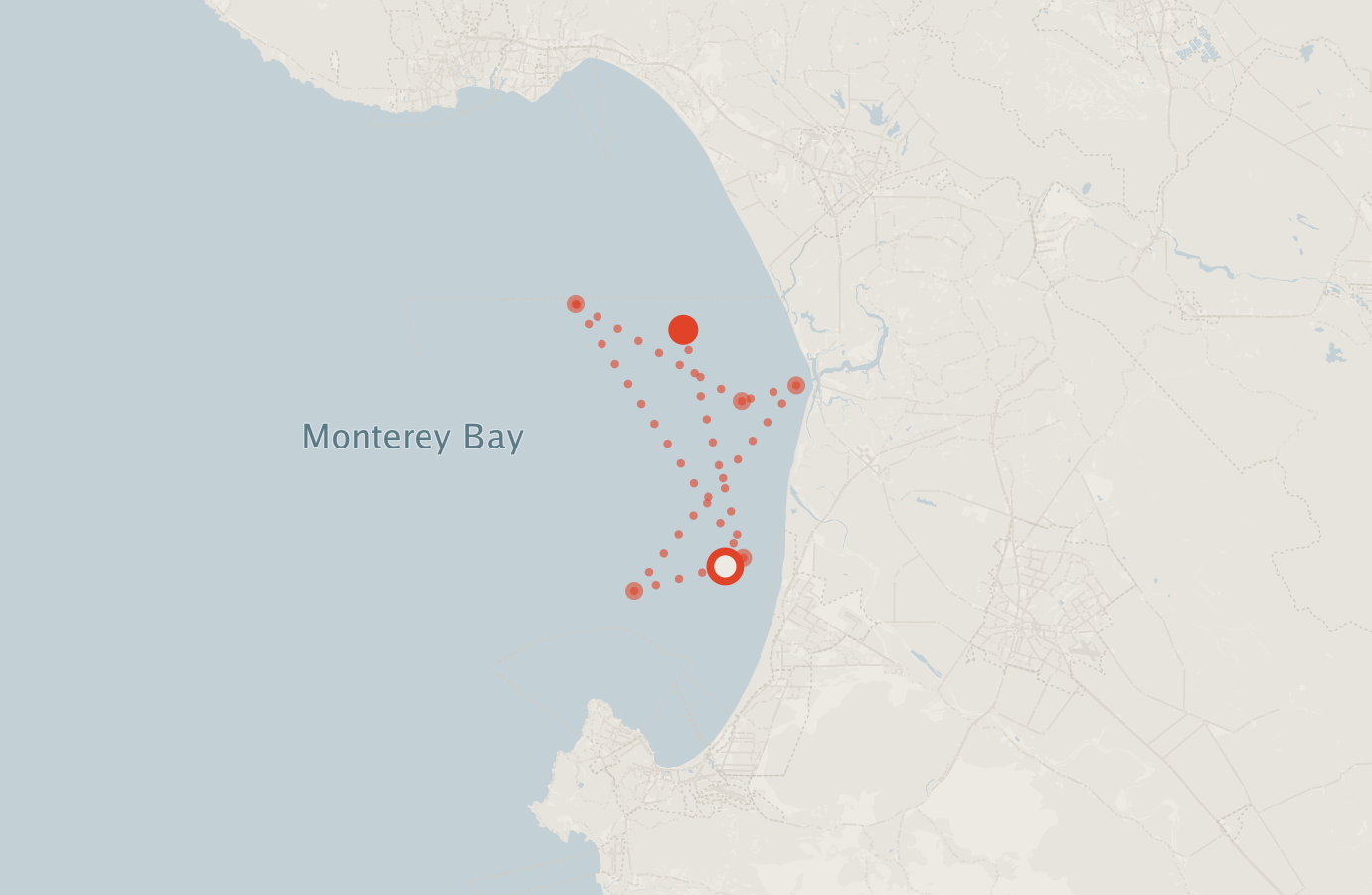 Activity map — real sighting points on an OpenStreetMap basemap
