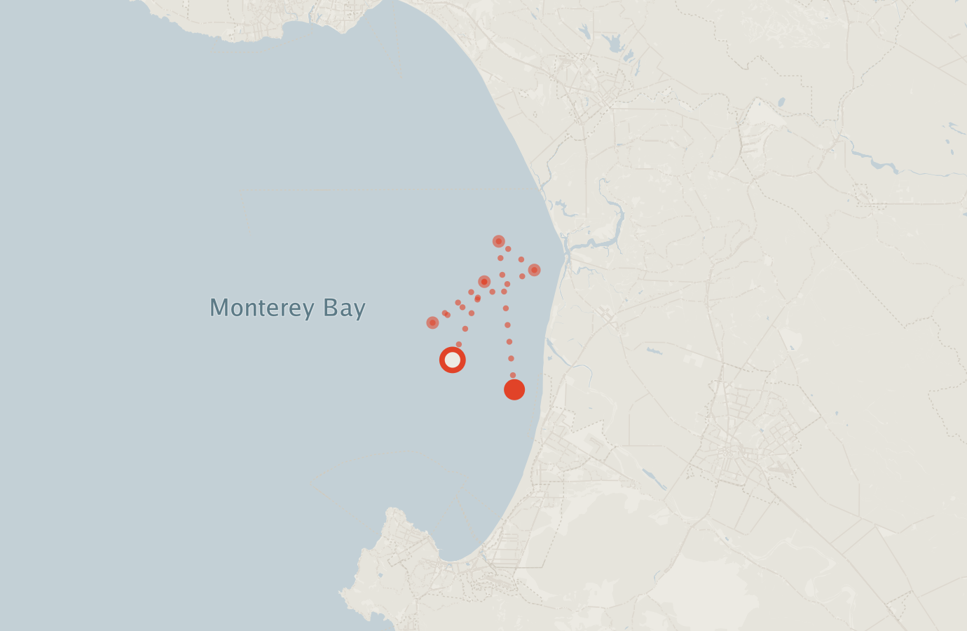 Activity map — real sighting points on an OpenStreetMap basemap