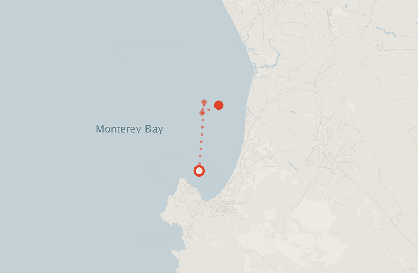 Activity map — real sighting points on an OpenStreetMap basemap