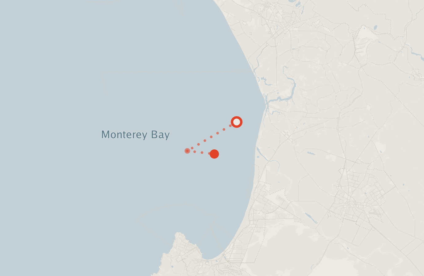 Activity map — real sighting points on an OpenStreetMap basemap