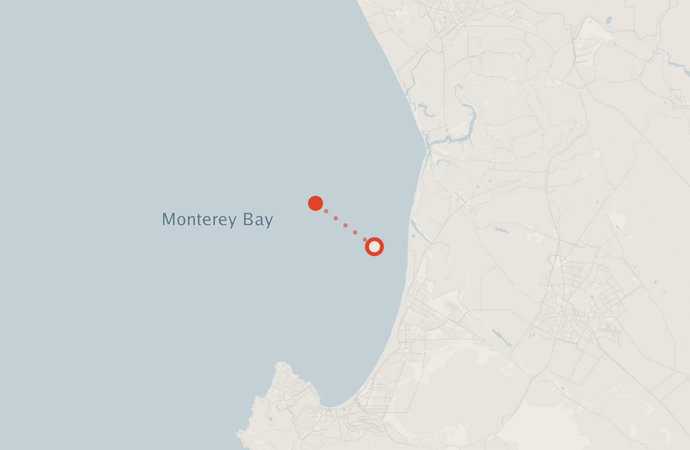 Activity map — real sighting points on an OpenStreetMap basemap