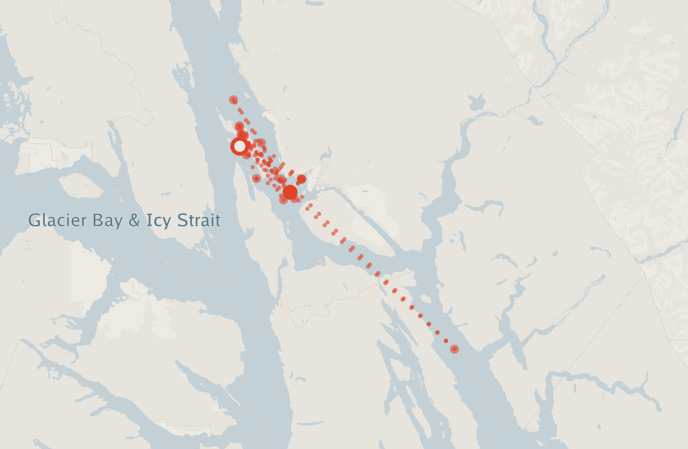 Activity map — real sighting points on an OpenStreetMap basemap