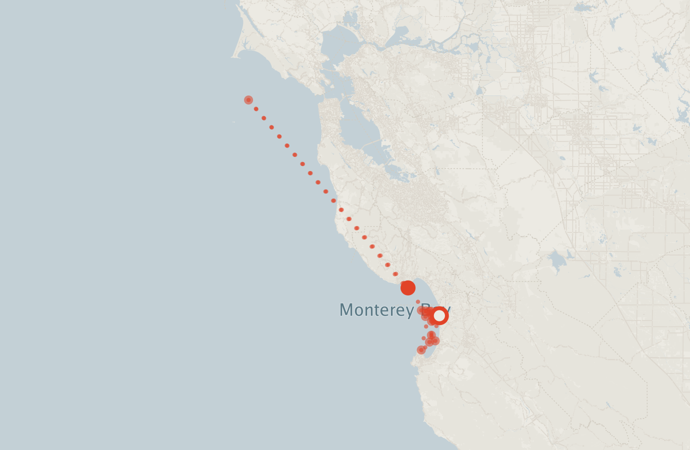 Activity map — real sighting points on an OpenStreetMap basemap