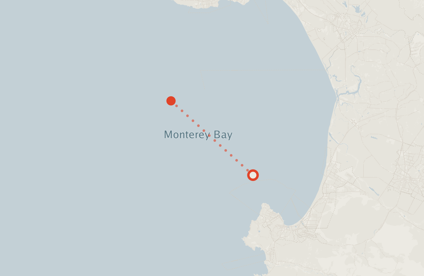 Activity map — real sighting points on an OpenStreetMap basemap