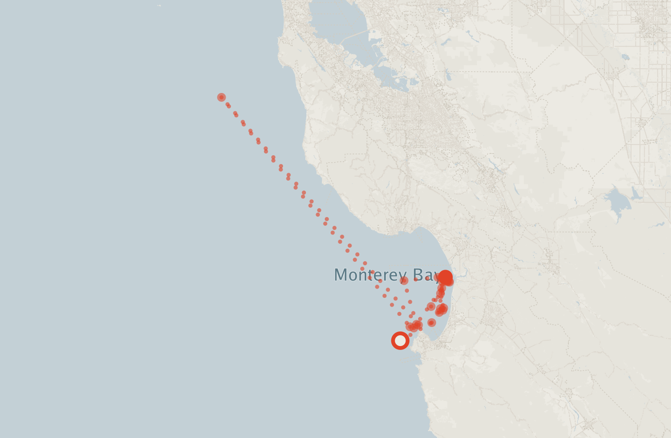 Activity map — real sighting points on an OpenStreetMap basemap