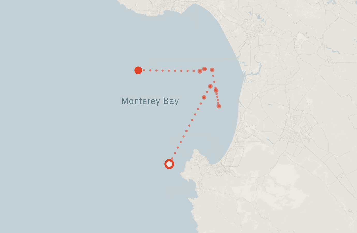 Activity map — real sighting points on an OpenStreetMap basemap