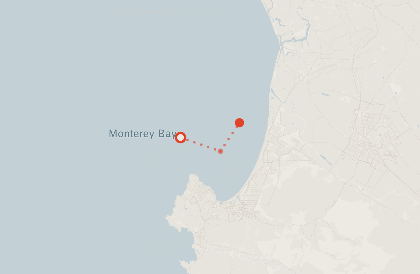 Activity map — real sighting points on an OpenStreetMap basemap