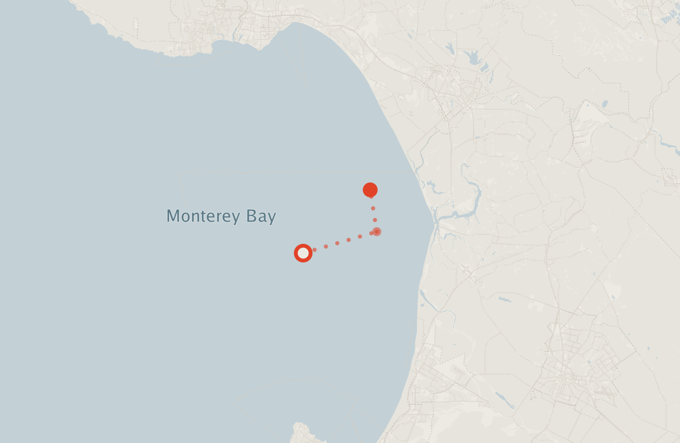 Activity map — real sighting points on an OpenStreetMap basemap