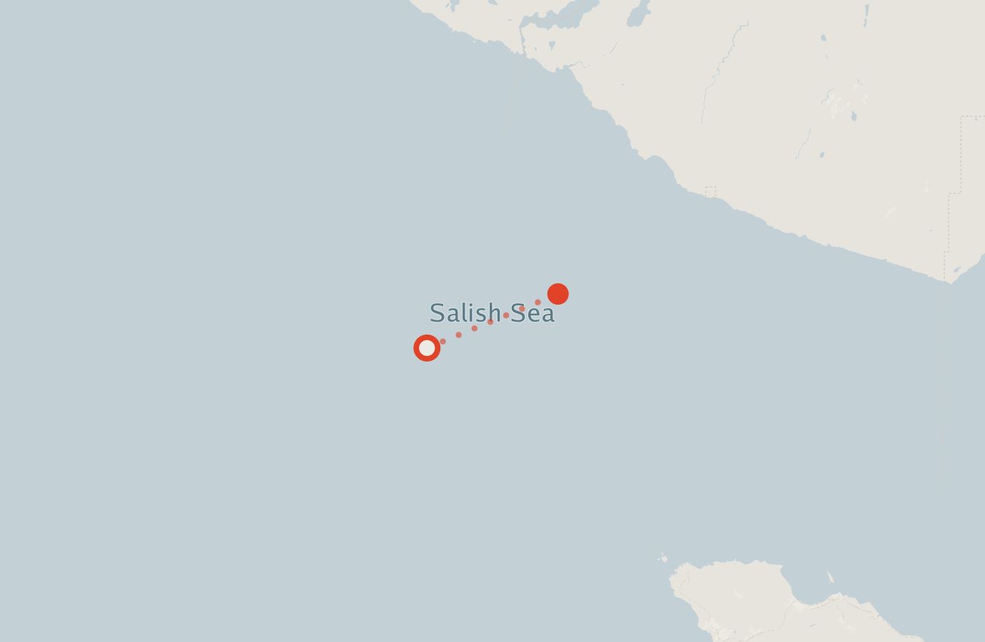 Activity map — real sighting points on an OpenStreetMap basemap