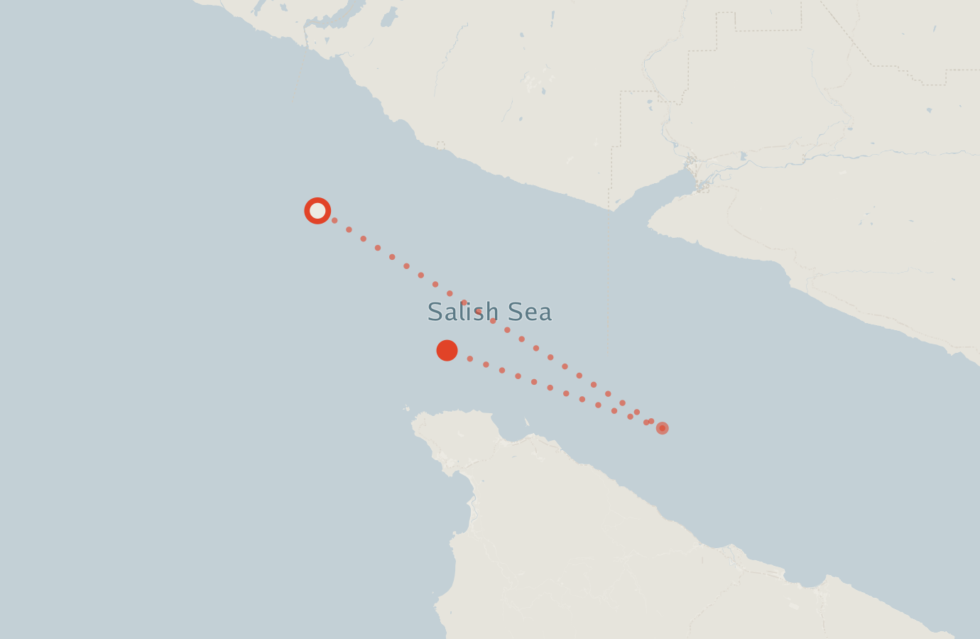 Activity map — real sighting points on an OpenStreetMap basemap