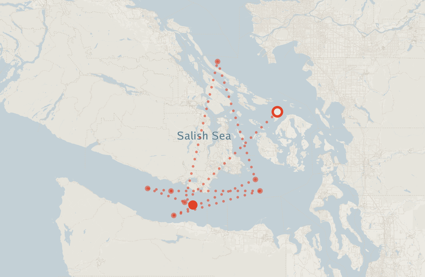 Activity map — real sighting points on an OpenStreetMap basemap