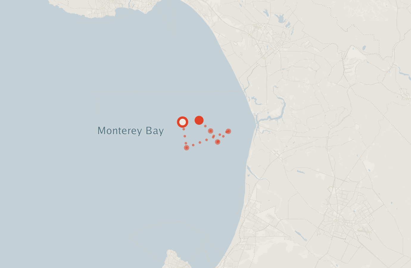 Activity map — real sighting points on an OpenStreetMap basemap