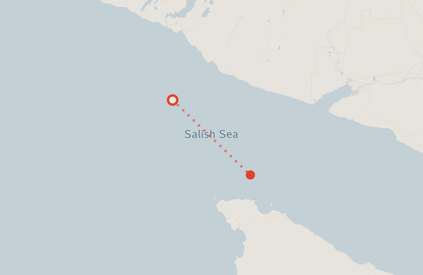 Activity map — real sighting points on an OpenStreetMap basemap