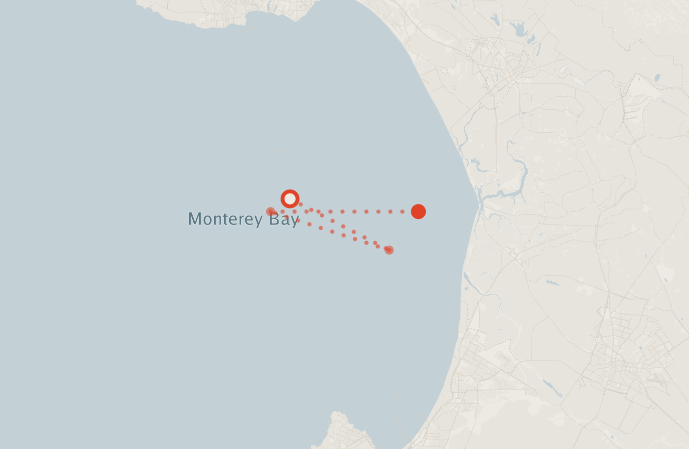 Activity map — real sighting points on an OpenStreetMap basemap