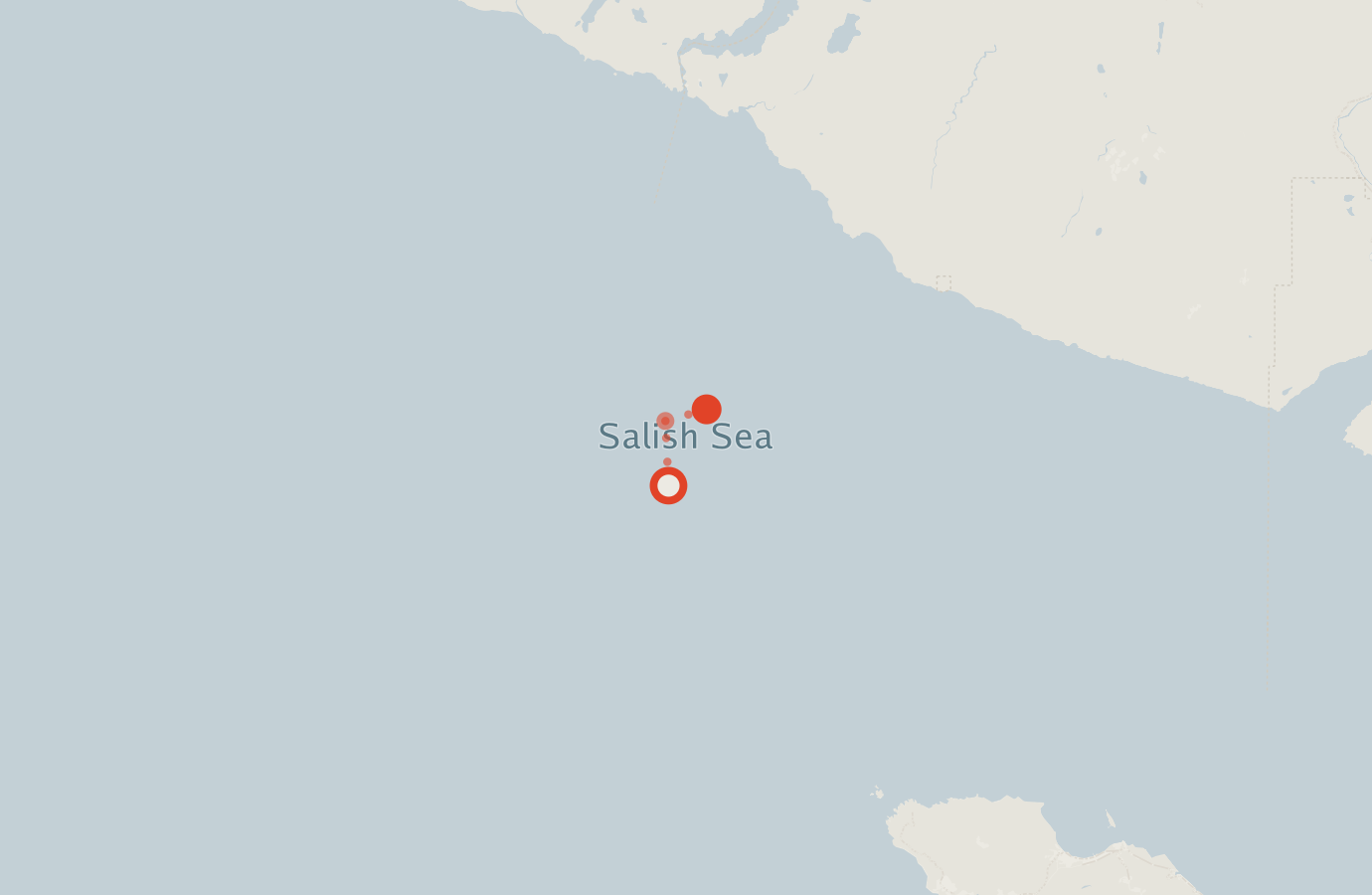 Activity map — real sighting points on an OpenStreetMap basemap