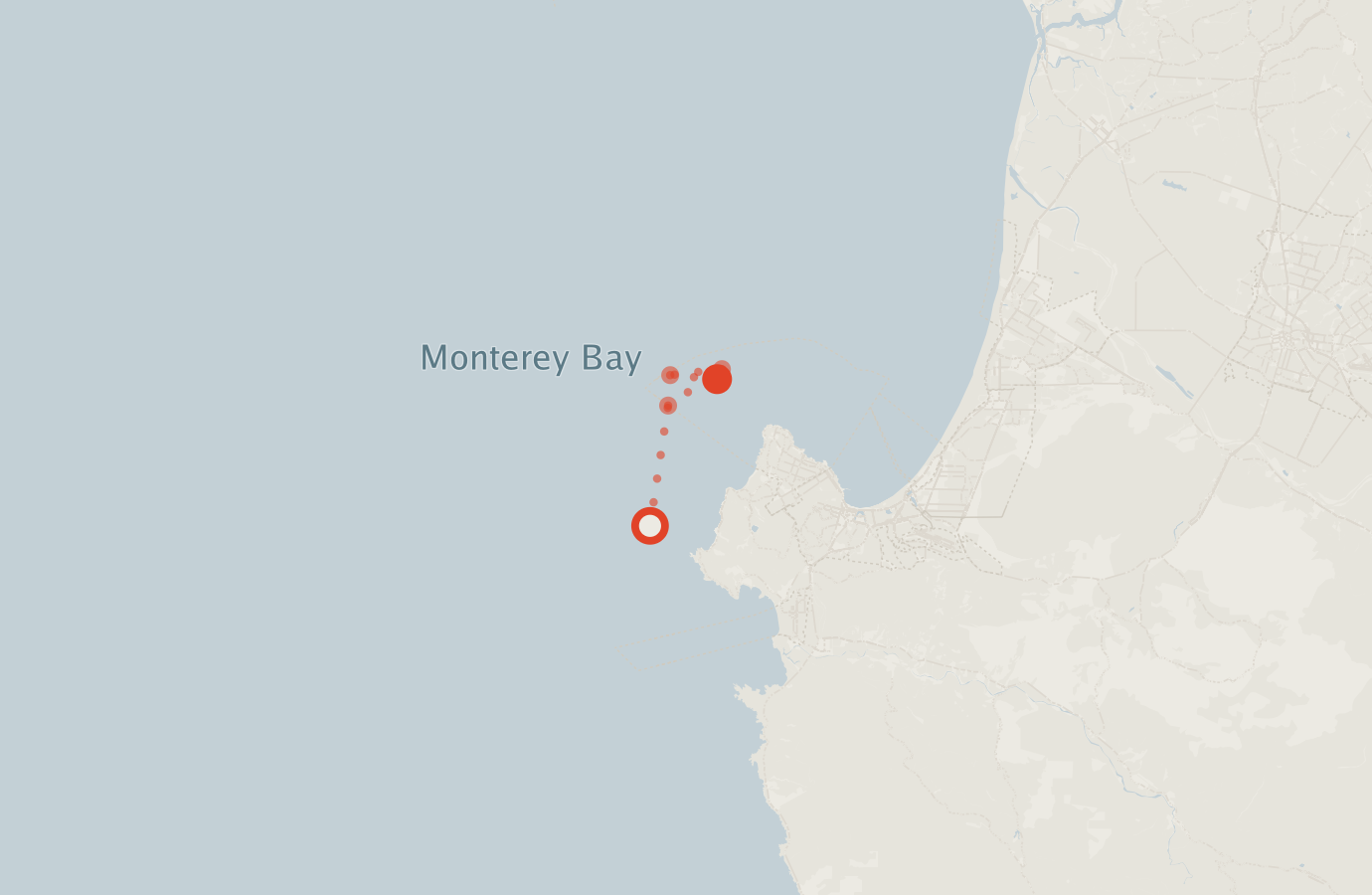 Activity map — real sighting points on an OpenStreetMap basemap